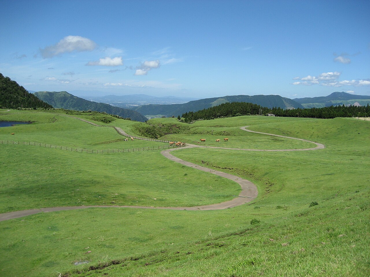 阿蘇草千里ヶ浜大草原